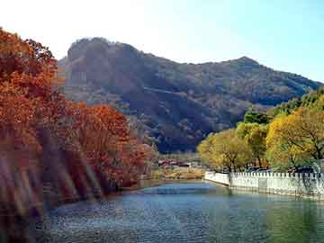 澳门期期准免费精准，申彗星女友